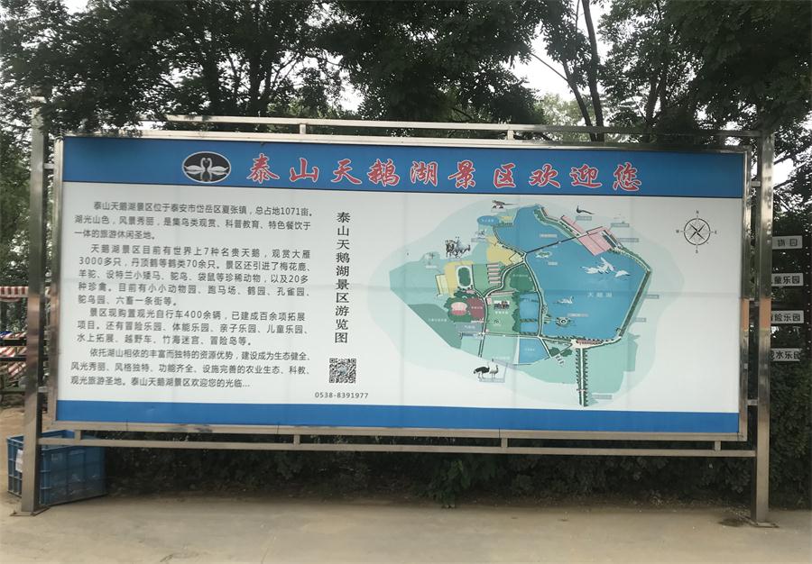 天鵝湖風(fēng)景區(qū)（泰山）速覽！(圖2)