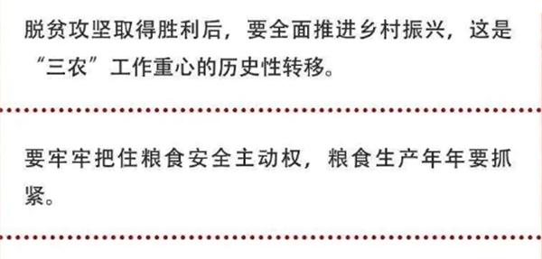 2020年中央農(nóng)村工作會(huì)議精神速覽！(圖2)