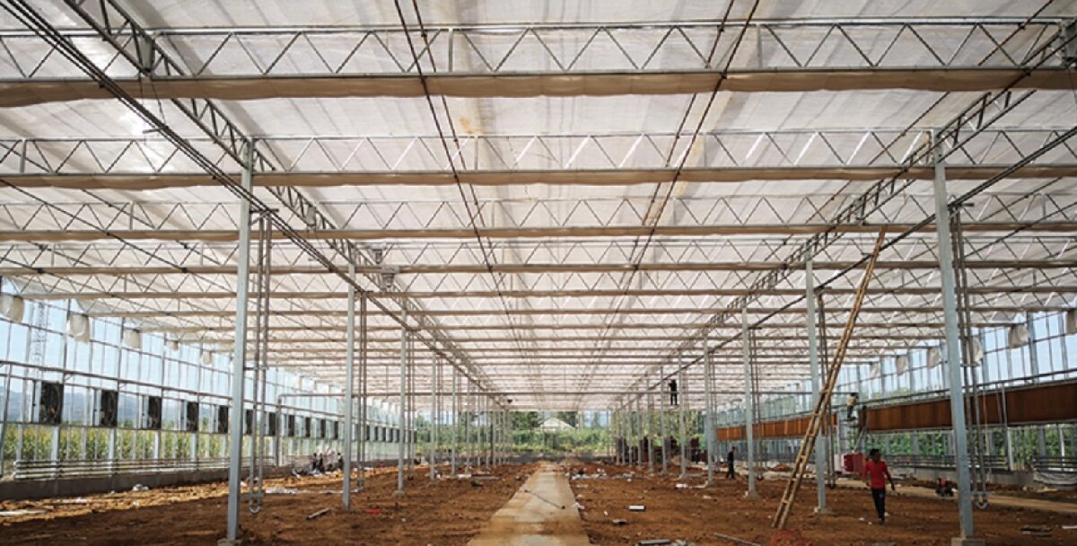 信橋鋼構(gòu)：打卡蒙陰農(nóng)業(yè)溫室大棚、青州黑牛養(yǎng)殖基地！(圖3)